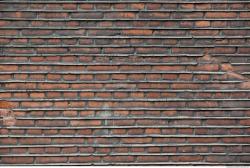 Photo Textures of Wall Bricks